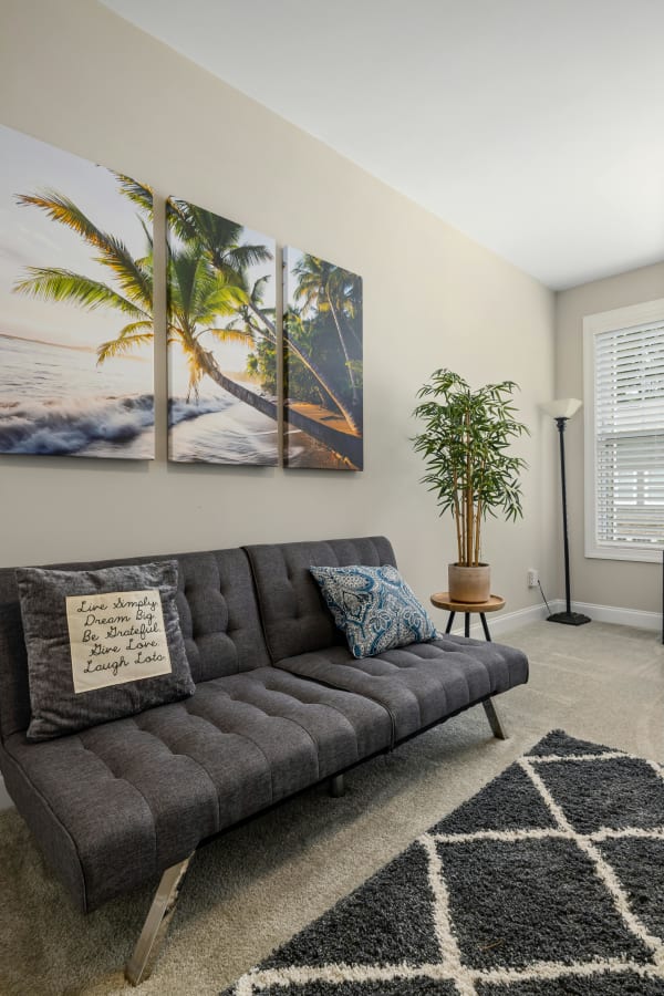 Carpet Density vs Face Weight What’s the Difference?